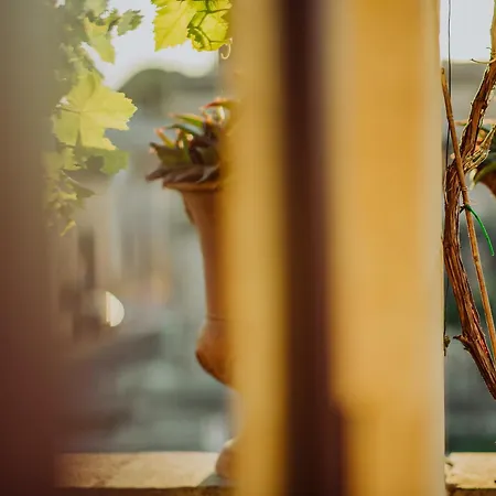 Corte Dei Saraceni شقة *