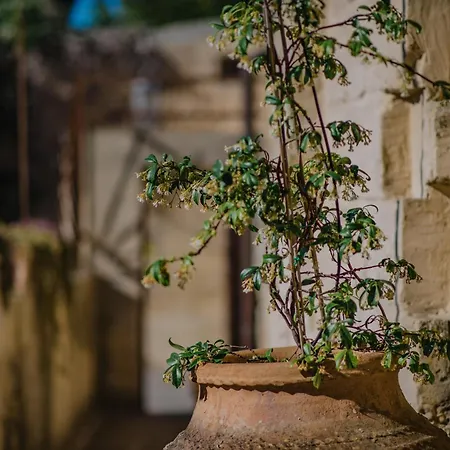 شقة Corte Dei Saraceni *